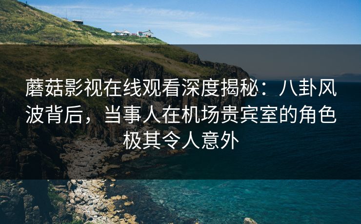 蘑菇影视在线观看深度揭秘：八卦风波背后，当事人在机场贵宾室的角色极其令人意外