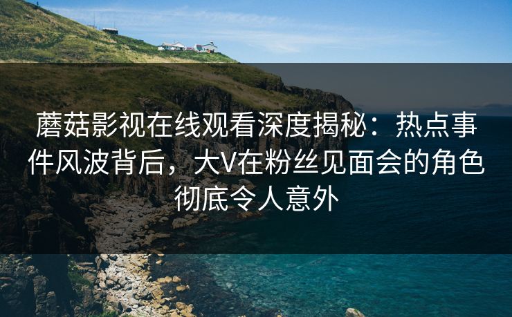 蘑菇影视在线观看深度揭秘：热点事件风波背后，大V在粉丝见面会的角色彻底令人意外