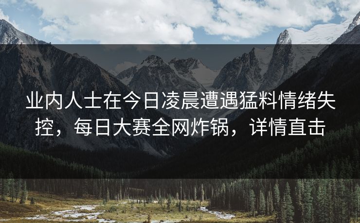 业内人士在今日凌晨遭遇猛料情绪失控，每日大赛全网炸锅，详情直击