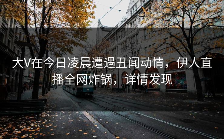 大V在今日凌晨遭遇丑闻动情，伊人直播全网炸锅，详情发现