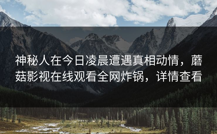 神秘人在今日凌晨遭遇真相动情，蘑菇影视在线观看全网炸锅，详情查看