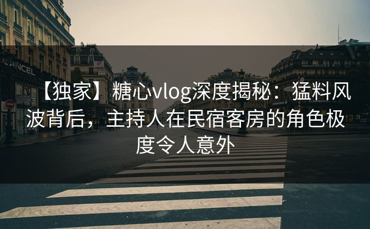 【独家】糖心vlog深度揭秘:猛料风波背后,主持人在民宿客房的角色极度令人意外